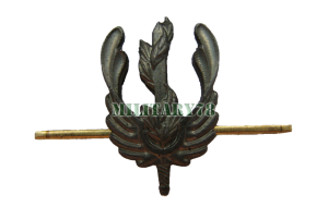 emblema-ekologicheskie-voyska